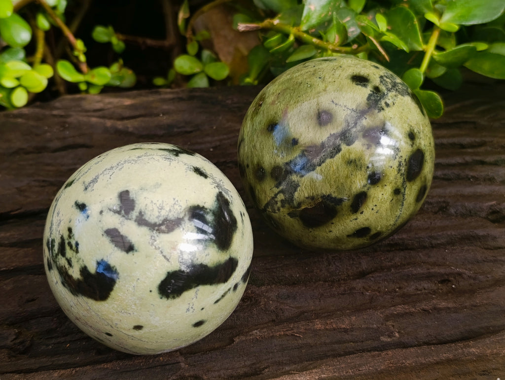 Polished Leopard Stone Spheres x 2 From Nyanga, Zimbabwe - Toprock Gemstones and Minerals 