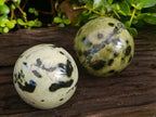Polished Leopard Stone Spheres x 2 From Nyanga, Zimbabwe - Toprock Gemstones and Minerals 