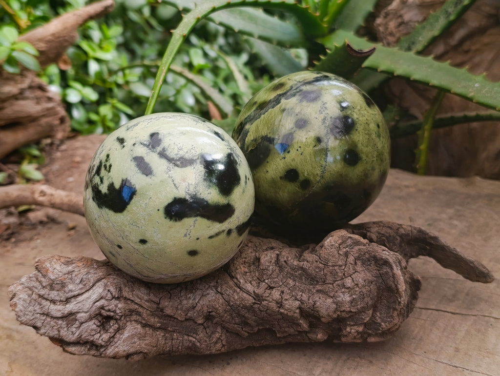 Polished Leopard Stone Spheres x 2 From Nyanga, Zimbabwe - Toprock Gemstones and Minerals 