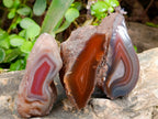 Polished On One Side Red Sashe River Agate Nodules x 12 From Zimbabwe - Toprock Gemstones and Minerals 