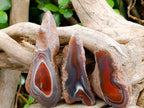 Polished On One Side Red Sashe River Agate Nodules x 12 From Zimbabwe - Toprock Gemstones and Minerals 