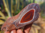 Polished On One Side Red Sashe River Agate Nodules x 12 From Zimbabwe - Toprock Gemstones and Minerals 