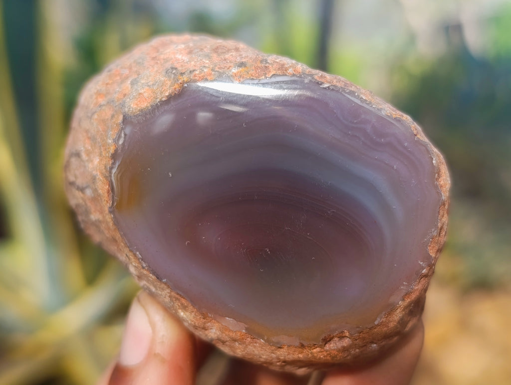 Polished On One Side Red Sashe River Agate Nodules x 12 From Zimbabwe - Toprock Gemstones and Minerals 