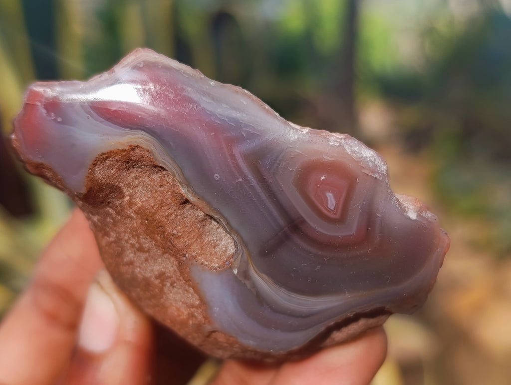 Polished On One Side Red Sashe River Agate Nodules x 12 From Zimbabwe - Toprock Gemstones and Minerals 