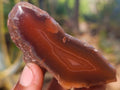 Polished On One Side Red Sashe River Agate Nodules x 12 From Zimbabwe - Toprock Gemstones and Minerals 