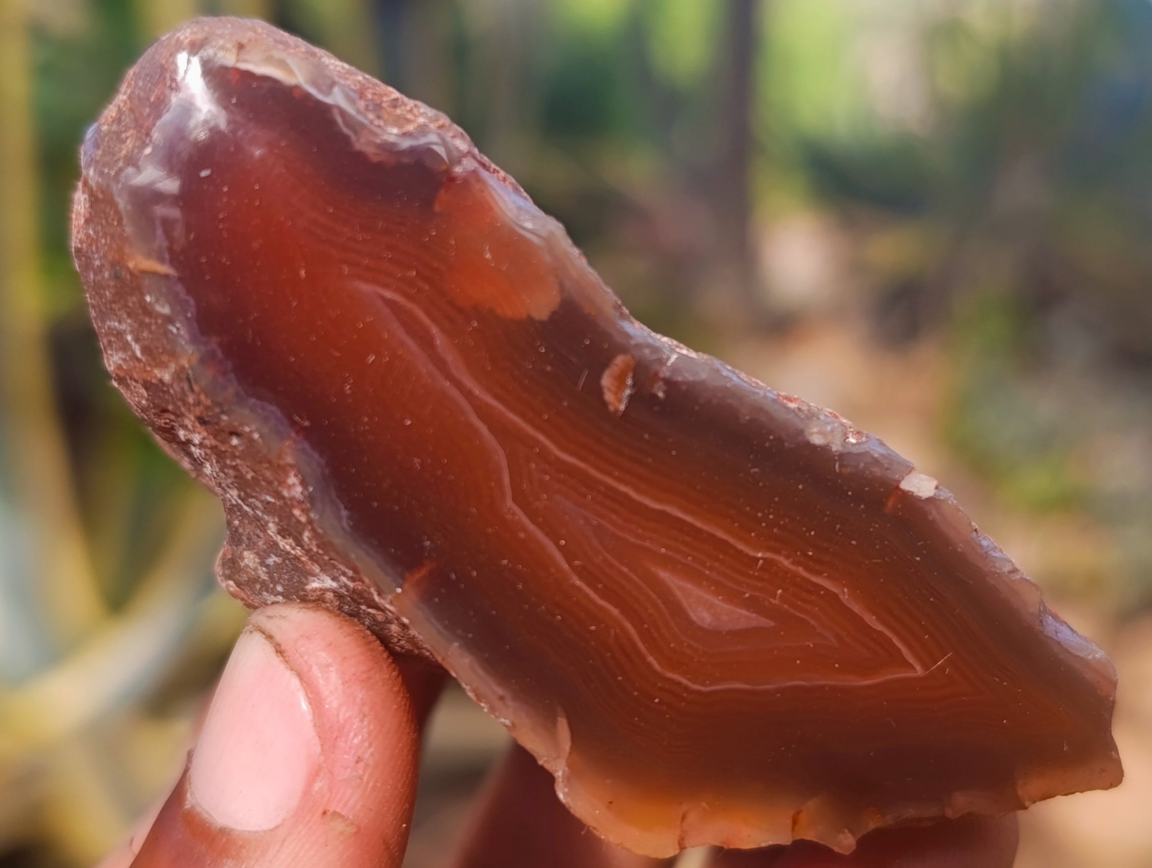 Polished On One Side Red Sashe River Agate Nodules x 12 From Zimbabwe - Toprock Gemstones and Minerals 
