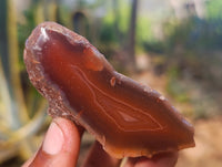 Polished On One Side Red Sashe River Agate Nodules x 12 From Zimbabwe - Toprock Gemstones and Minerals 