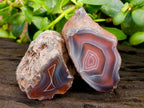 Polished On One Side Red Sashe River Agate Nodules x 12 From Zimbabwe - Toprock Gemstones and Minerals 