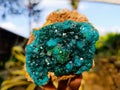 Natural Dioptase On Dolomite with Malachite Specimens x 2 From Likasi, Congo - Toprock Gemstones and Minerals 