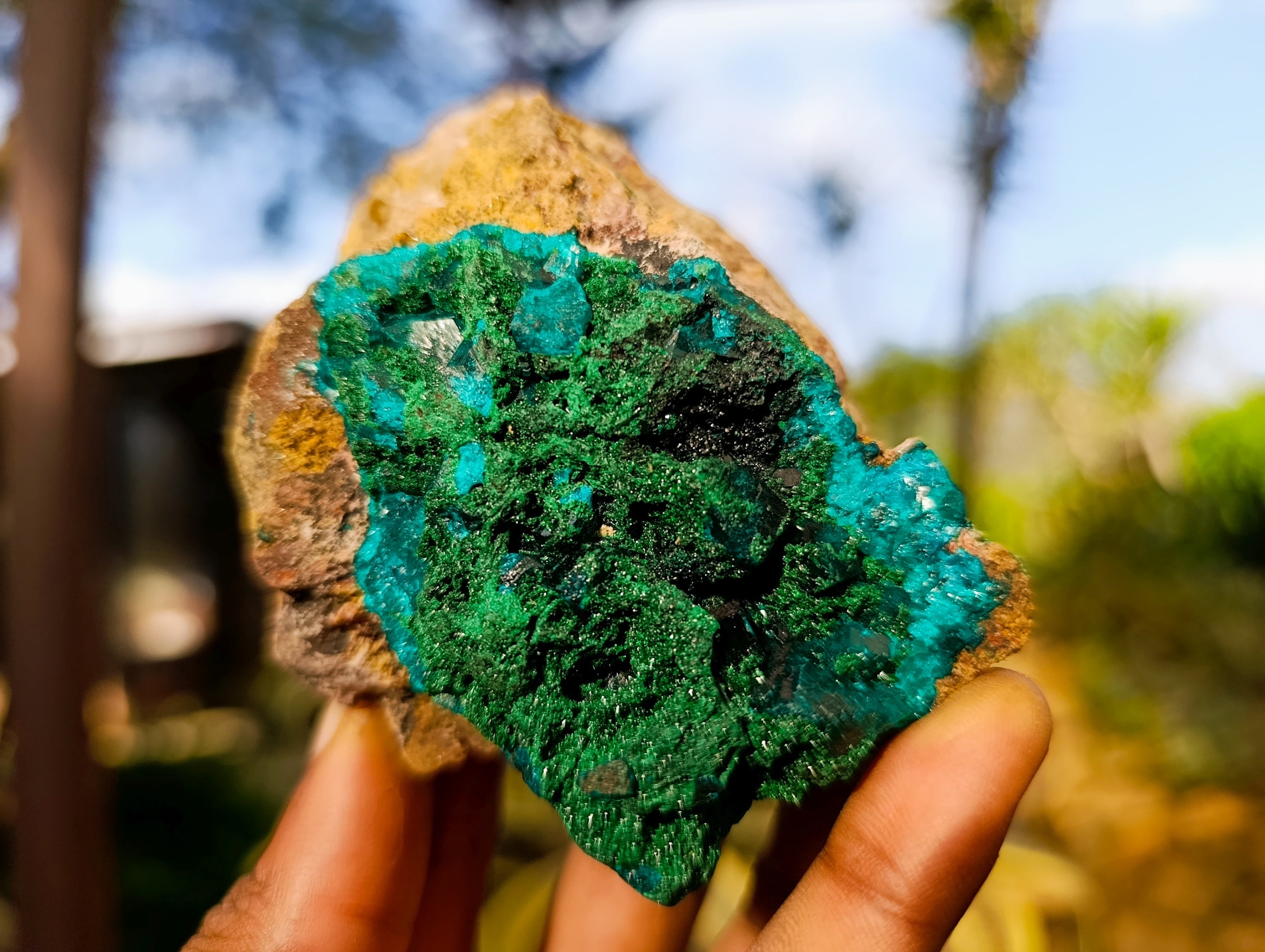 Natural Dioptase On Dolomite with Malachite Specimens x 2 From Likasi, Congo - Toprock Gemstones and Minerals 