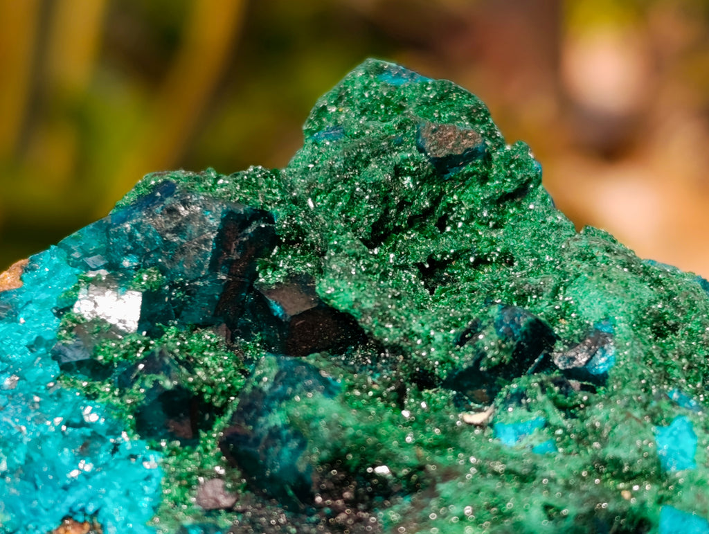 Natural Dioptase On Dolomite with Malachite Specimens x 2 From Likasi, Congo - Toprock Gemstones and Minerals 