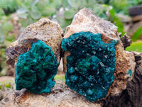 Natural Dioptase On Dolomite with Malachite Specimens x 2 From Likasi, Congo - Toprock Gemstones and Minerals 