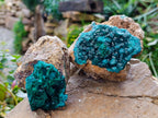 Natural Dioptase On Dolomite with Malachite Specimens x 2 From Likasi, Congo - Toprock Gemstones and Minerals 