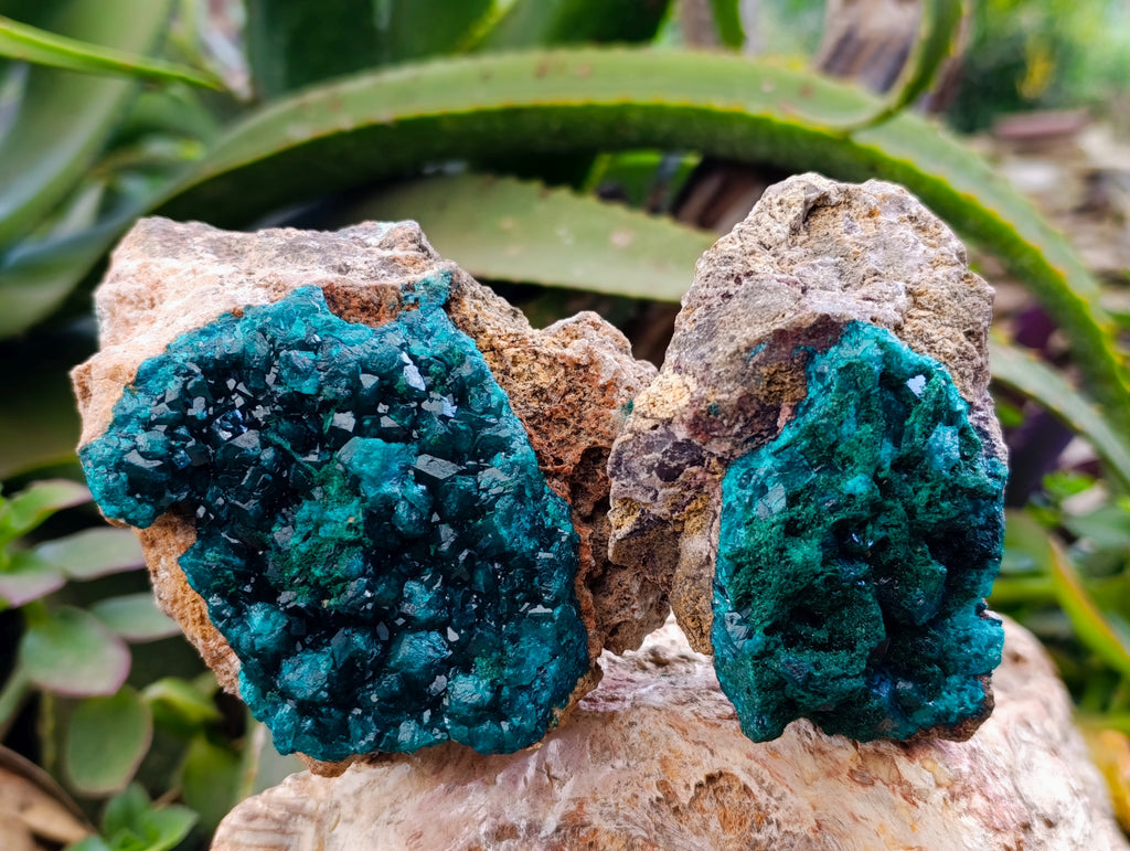 Natural Dioptase On Dolomite with Malachite Specimens x 2 From Likasi, Congo - Toprock Gemstones and Minerals 