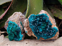 Natural Dioptase On Dolomite with Malachite Specimens x 2 From Likasi, Congo - Toprock Gemstones and Minerals 