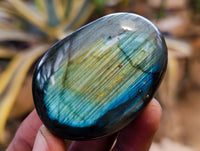 Polished Labradorite Palm Stones x 24 From Tulear, Madagascar - Toprock Gemstones and Minerals 
