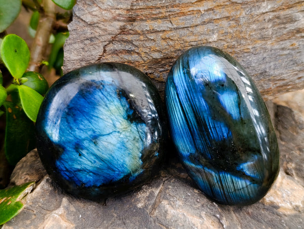 Polished Labradorite Palm Stones x 24 From Tulear, Madagascar - Toprock Gemstones and Minerals 