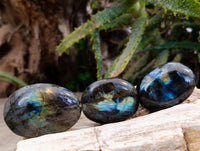 Polished Labradorite Palm Stones x 24 From Tulear, Madagascar - Toprock Gemstones and Minerals 