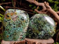 Polished "African Turquoise" Chrysocolla Standing Free Forms x 2 From South Africa - Toprock Gemstones and Minerals 