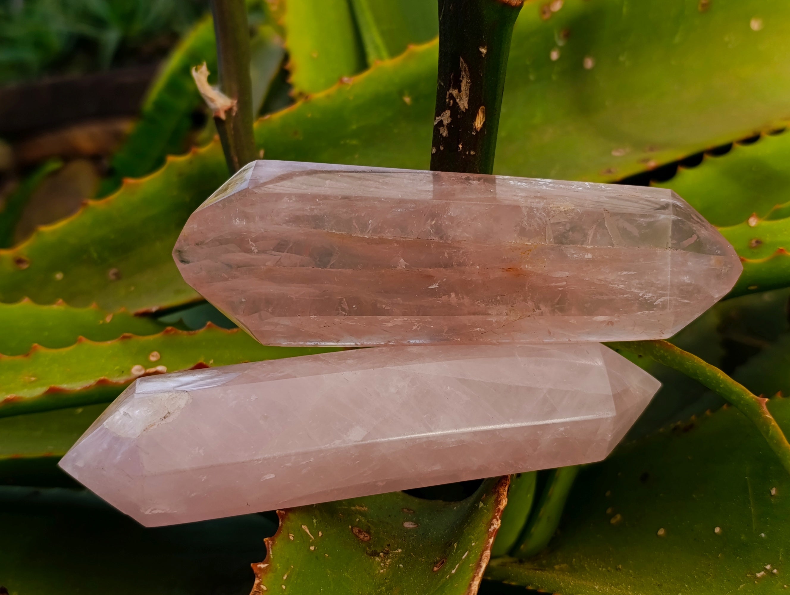 Polished Double Terminated Rose Quartz Points x 5 From Ambatondrazaka, Madagascar - Toprock Gemstones and Minerals 