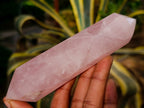 Polished Double Terminated Rose Quartz Points x 5 From Ambatondrazaka, Madagascar - Toprock Gemstones and Minerals 