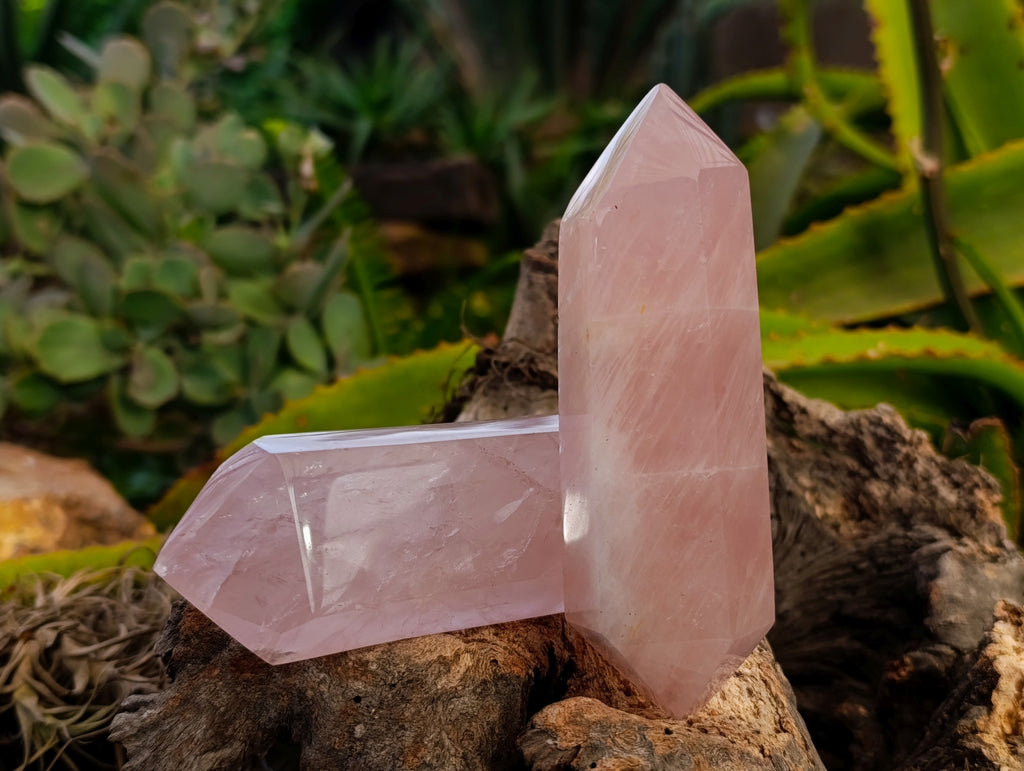 Polished Double Terminated Rose Quartz Points x 5 From Ambatondrazaka, Madagascar - Toprock Gemstones and Minerals 
