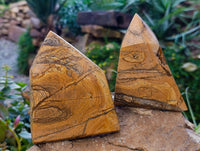 Polished Picture Stone Jasper Points x 2 From Ais-Ais, Namibia - Toprock Gemstones and Minerals 