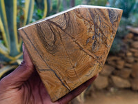 Polished Picture Stone Jasper Points x 2 From Ais-Ais, Namibia - Toprock Gemstones and Minerals 