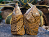 Polished Picture Stone Jasper Points x 2 From Ais-Ais, Namibia - Toprock Gemstones and Minerals 