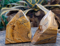 Polished Picture Stone Jasper Points x 2 From Ais-Ais, Namibia - Toprock Gemstones and Minerals 