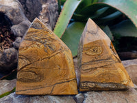 Polished Picture Stone Jasper Points x 2 From Ais-Ais, Namibia - Toprock Gemstones and Minerals 