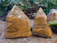 Polished Picture Stone Jasper Points x 2 From Ais-Ais, Namibia - Toprock Gemstones and Minerals 