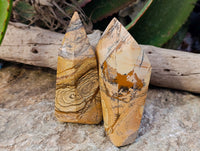 Polished Picture Stone Jasper Points x 2 From Ais-Ais, Namibia - Toprock Gemstones and Minerals 