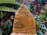 Polished Picture Stone Jasper Points x 2 From Ais-Ais, Namibia - Toprock Gemstones and Minerals 