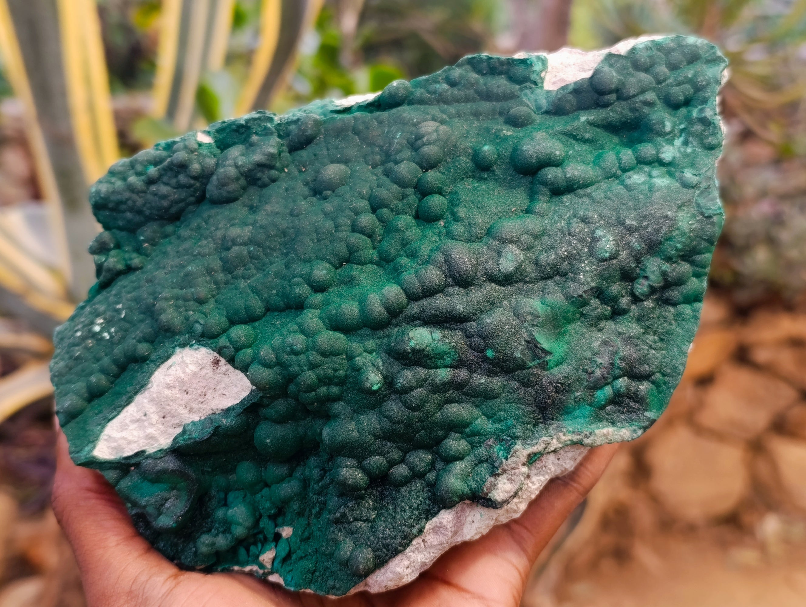Natural Crystalline Malachite Specimens x 2 From Tenke Fungurume, Congo - Toprock Gemstones and Minerals 