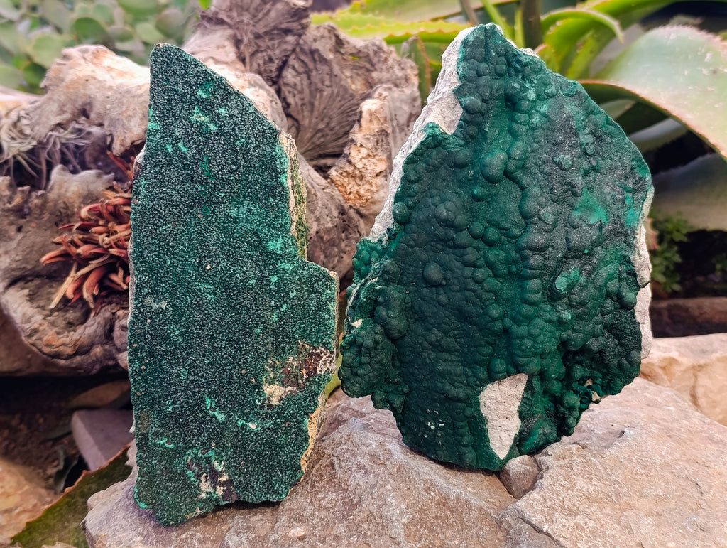 Natural Crystalline Malachite Specimens x 2 From Tenke Fungurume, Congo - Toprock Gemstones and Minerals 