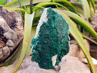 Natural Crystalline Malachite Specimens x 2 From Tenke Fungurume, Congo - Toprock Gemstones and Minerals 