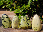 Polished Leopard Stone Standing Free Forms x 6 From Nyanga, Zimbabwe - Toprock Gemstones and Minerals 