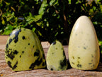 Polished Leopard Stone Standing Free Forms x 6 From Nyanga, Zimbabwe - Toprock Gemstones and Minerals 