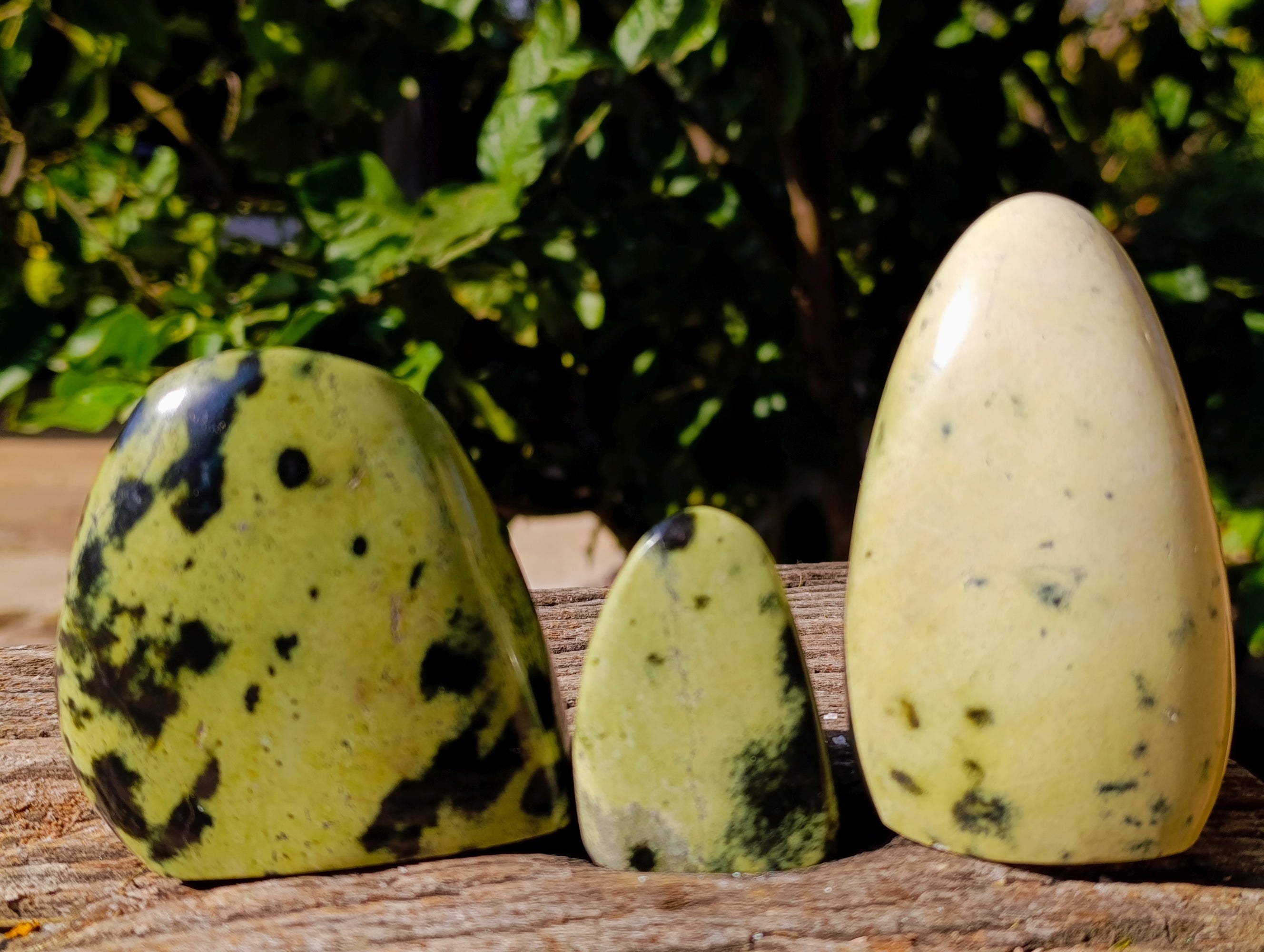 Polished Leopard Stone Standing Free Forms x 6 From Nyanga, Zimbabwe - Toprock Gemstones and Minerals 
