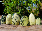 Polished Leopard Stone Standing Free Forms x 6 From Nyanga, Zimbabwe - Toprock Gemstones and Minerals 