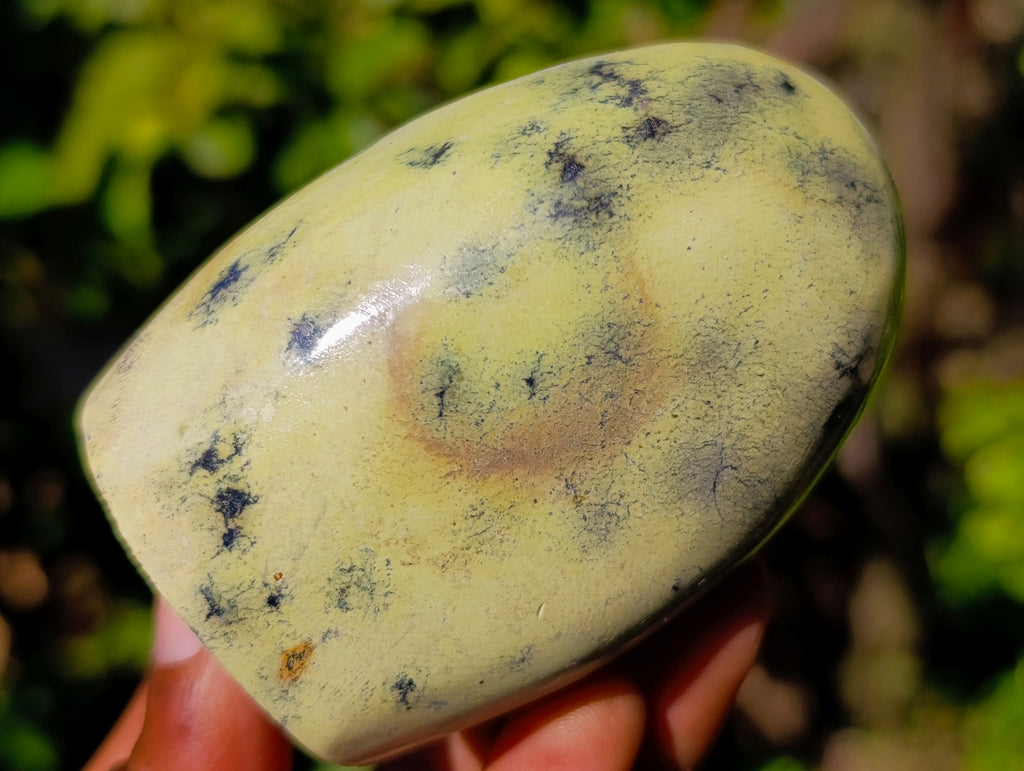 Polished Leopard Stone Standing Free Forms x 6 From Nyanga, Zimbabwe - Toprock Gemstones and Minerals 