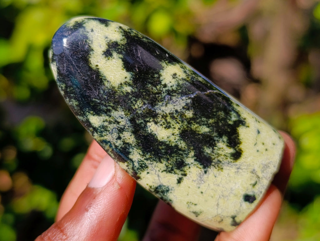 Polished Leopard Stone Standing Free Forms x 6 From Nyanga, Zimbabwe - Toprock Gemstones and Minerals 
