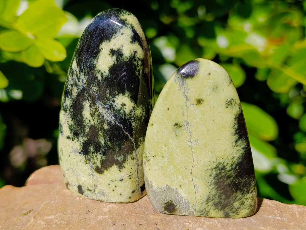 Leopard Spot Rocks Polished Leopard Stone Standing Free Forms x 6 From Nyanga, Zimbabwe ...