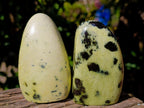 Polished Leopard Stone Standing Free Forms x 6 From Nyanga, Zimbabwe - Toprock Gemstones and Minerals 