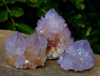 Natural Amethyst Spirit Quartz Clusters x 12 From Boekenhouthoek, South Africa - Toprock Gemstones and Minerals 