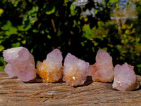 Natural Amethyst Spirit Quartz Clusters x 12 From Boekenhouthoek, South Africa - Toprock Gemstones and Minerals 