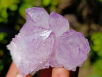 Natural Amethyst Spirit Quartz Clusters x 12 From Boekenhouthoek, South Africa - Toprock Gemstones and Minerals 