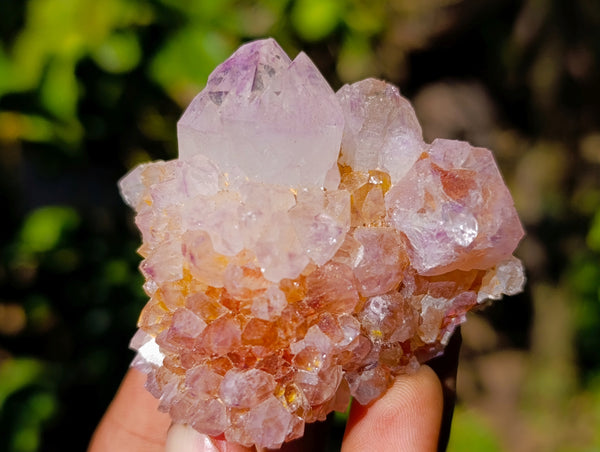 Natural Amethyst Spirit Quartz Clusters x 12 From Boekenhouthoek, South Africa