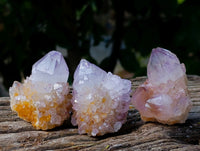 Natural Amethyst Spirit Quartz Clusters x 12 From Boekenhouthoek, South Africa - Toprock Gemstones and Minerals 